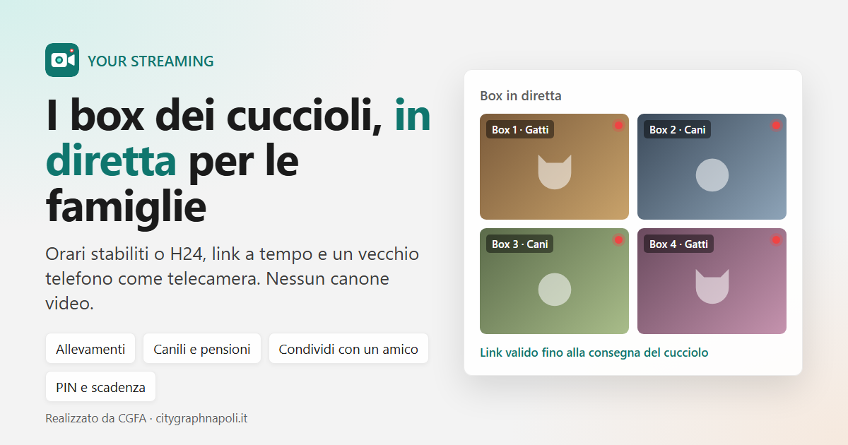 YOUR STREAMING: i box dei cuccioli in diretta per le famiglie